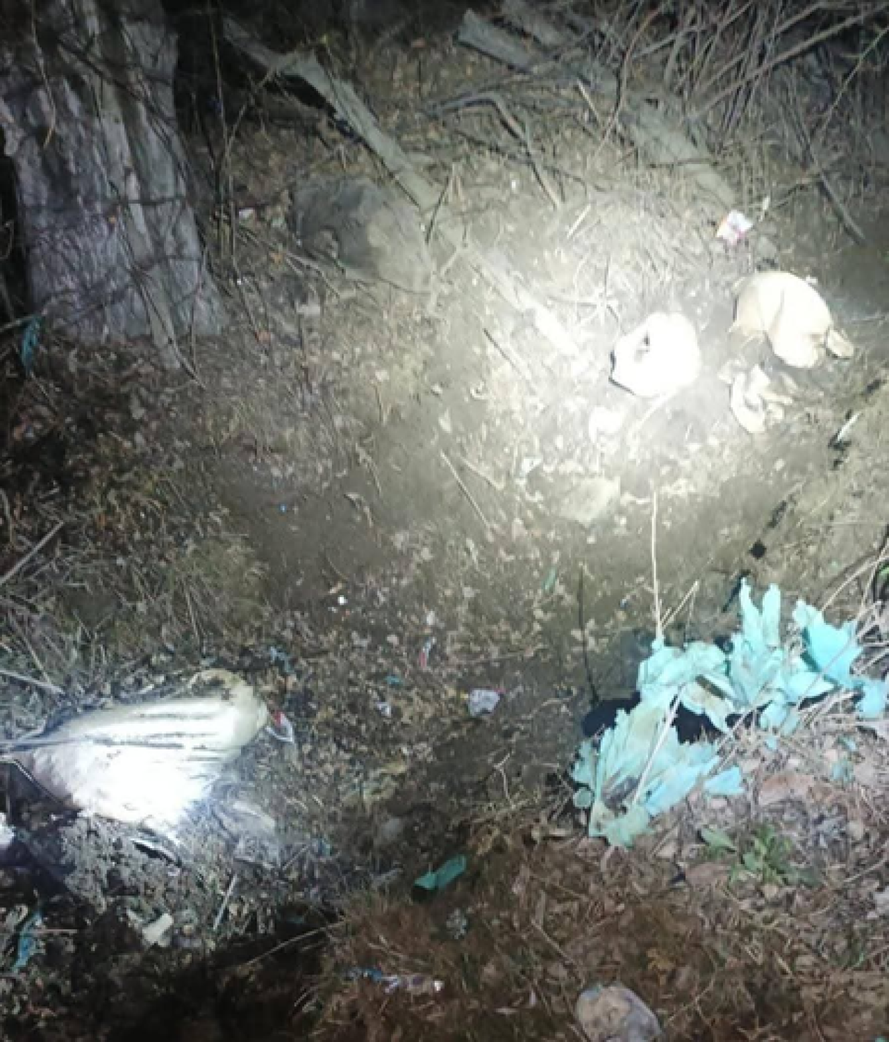 श्रीनगर-बारामूला हाईवे पर आईईडी बरामद, बड़ा हादसा टला