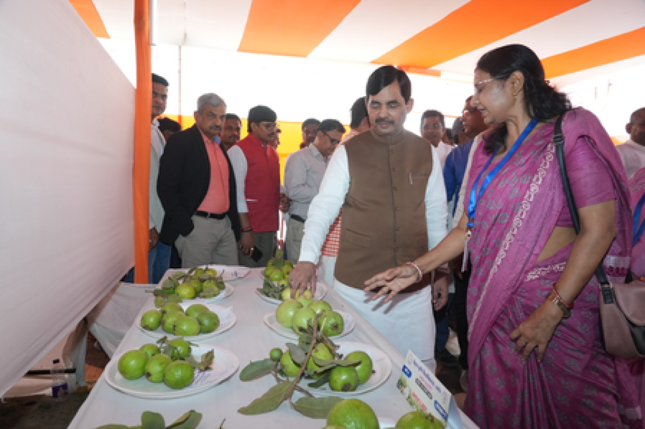 बिहार कृषि विश्वविद्यालय में राष्ट्रीय किसान मेले का उद्घाटन बिहार कृषि विश्वविद्यालय में राष्ट्रीय किसान मेले का उद्घाटन